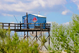 carrelet de lîle madame