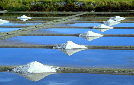 Découvrez la Charente-Maritime